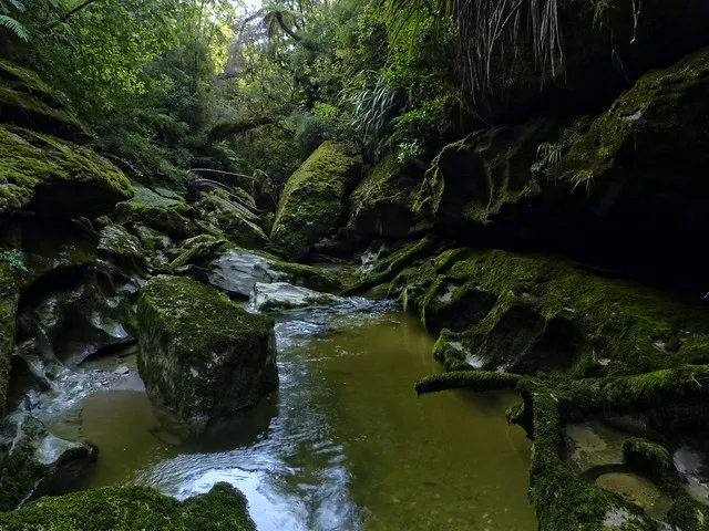 Cave Creek 20 years on ~ Remembering A Tragedy