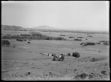 Image: View over Horowhenua farmland to Kapiti Island