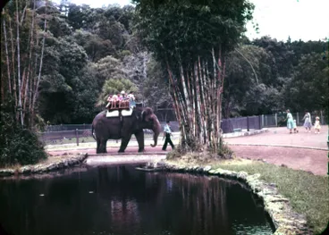 Image: Elephant ride at Auckland Zoo, Western Springs.