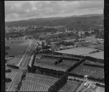 Image: Swanson, West Auckland