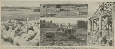 Pictures taken recently at the Waikite and Tokoroa blocks, near Rotorua Image: Pictures taken recently at the Waikite and Tokoroa blocks, near Rotorua