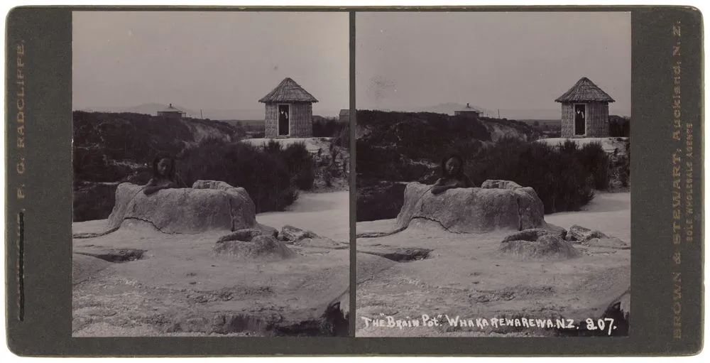 The "Brain Pot", Whakarewarewa, NZ