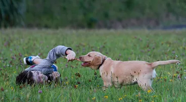 Image: bellaelijahplay