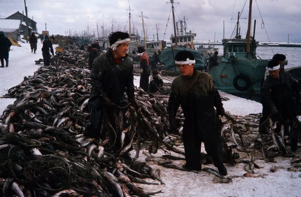 Japan Series: Hokkaido