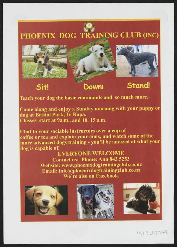 Phoenix Dog Training Club