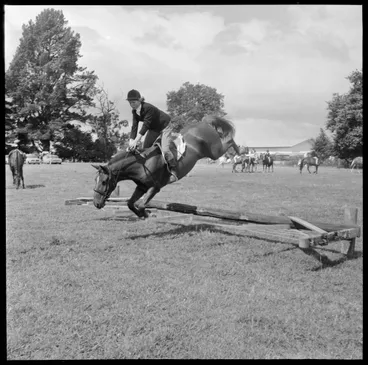 Image: Katikati A&P Show, Helen Mudford on Gypsy wire jump