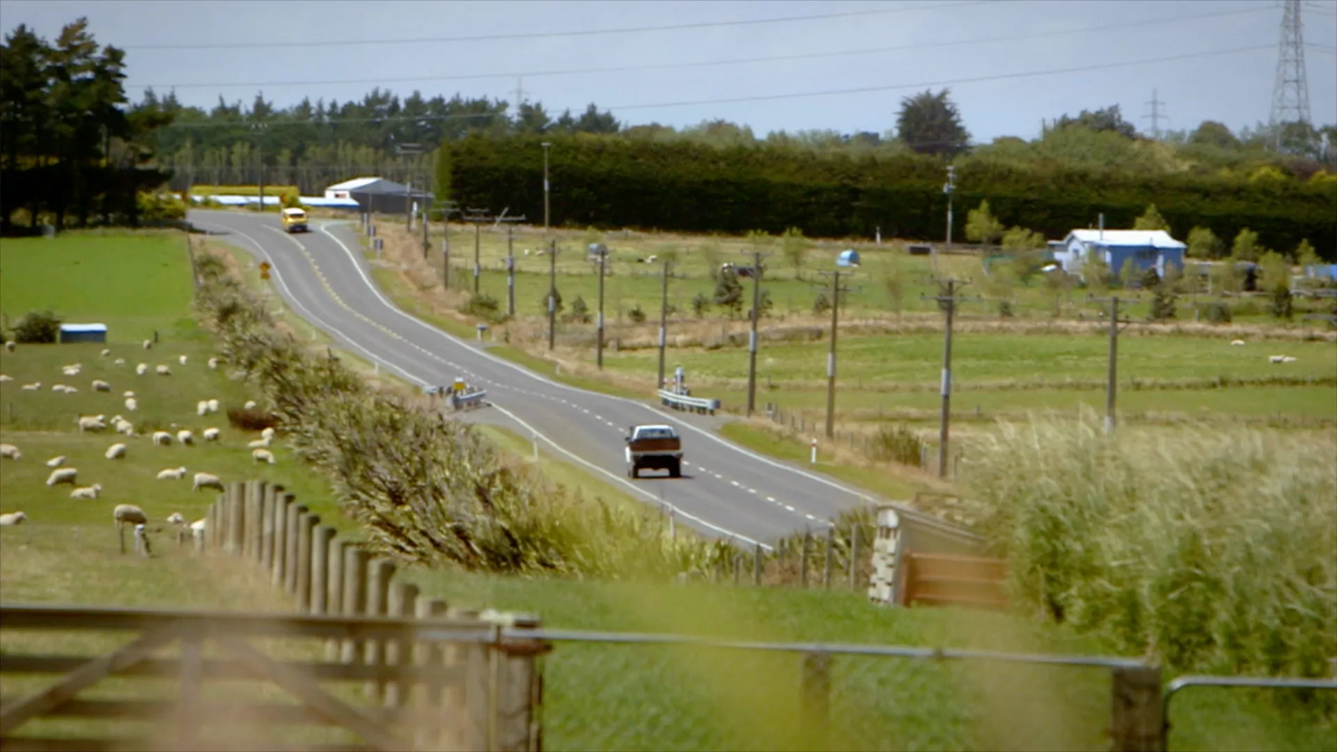 Neighbourhood - Invercargill (with Asha Dutt)