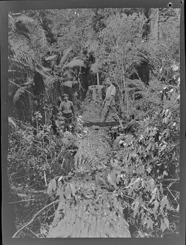 Image: Group of unidentified men sawing felled trees, Kakahi, Ruapehu District