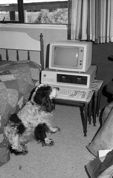 Image: Waterfront Credit Union, Dog