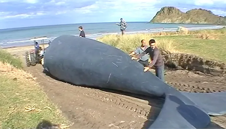 Behind the Scenes of Whale Rider