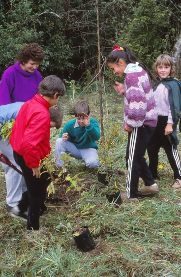 Image: Arbor Day 1987