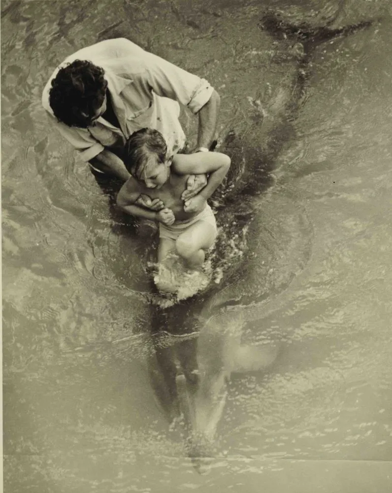 The day of the dolphin