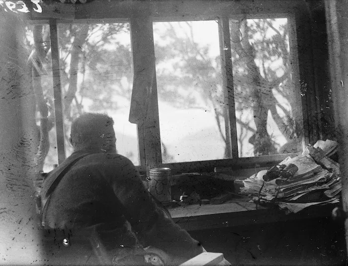 Coastwatcher looking out hut window, Auckland Islands