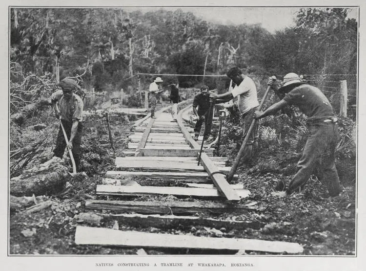 NATIVES CONSTRUCTING A TRAMLINE AT WHAKARAPA, HOKIANGA