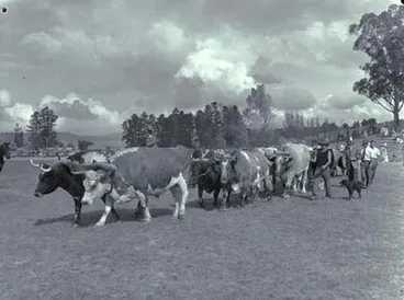 Image: Wellsford Show.