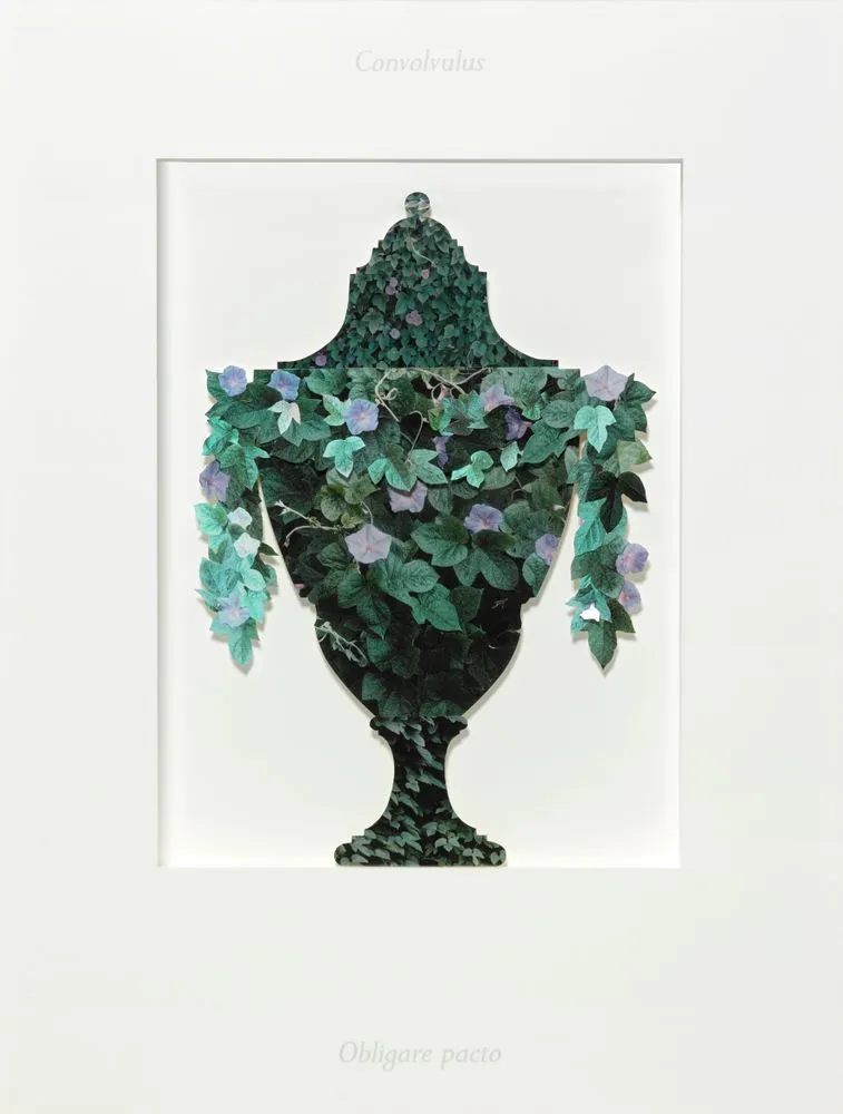 Ossuary IV: Convolvulus (bindweed). Obligare pacto (to bind by covenant)