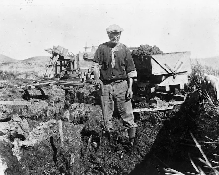 Unidentified male gum digger