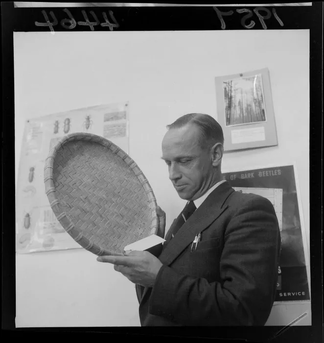 Mr W M Barber, timber inspector, looking at a Japanese tray