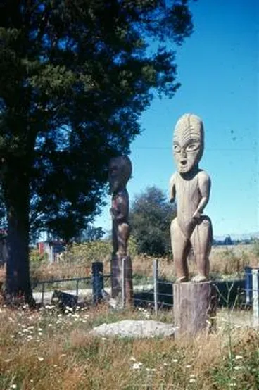 Image: Tekoteko at Papawai