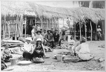 Rūātoki pā Image: Rūātoki pā