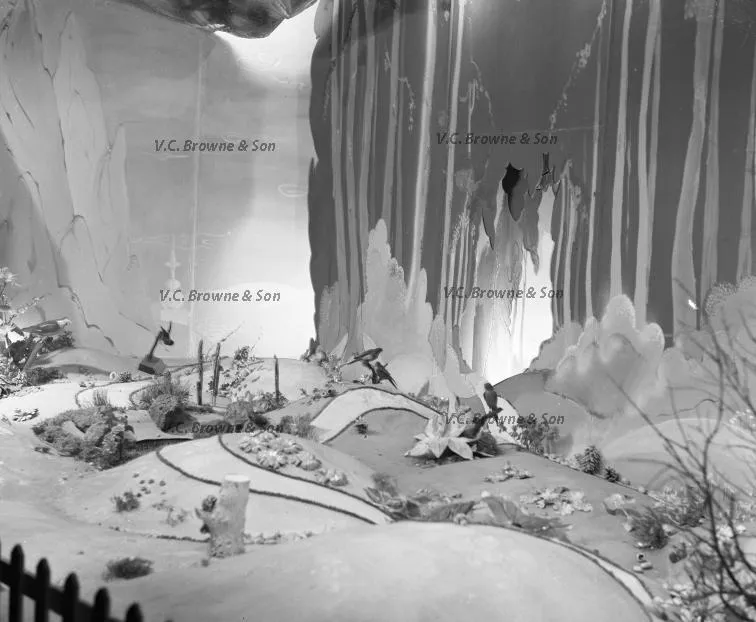 Alladin - Stage Production - Christchurch (PB2319/12)