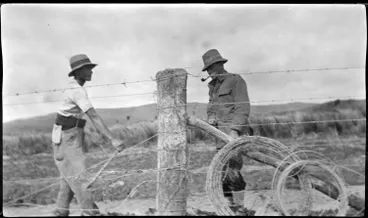 Image: Rawhiti and Greytown Jack Barr fencing at 'Beresford' near Kakanui, southern Kaipara.