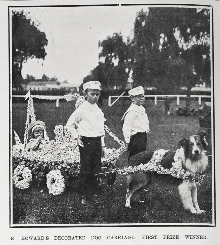 R HOWARD'S DECORATED DOG CARRIAGE, FIRST PRIZE WINNER