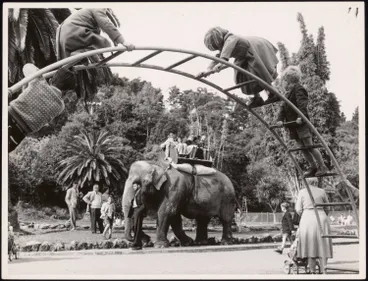Image: Children riding on an elephant at Auckland Zoo, 1960