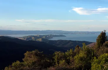 Image: Te Kurī-a-Pāoa/Young Nicks Head