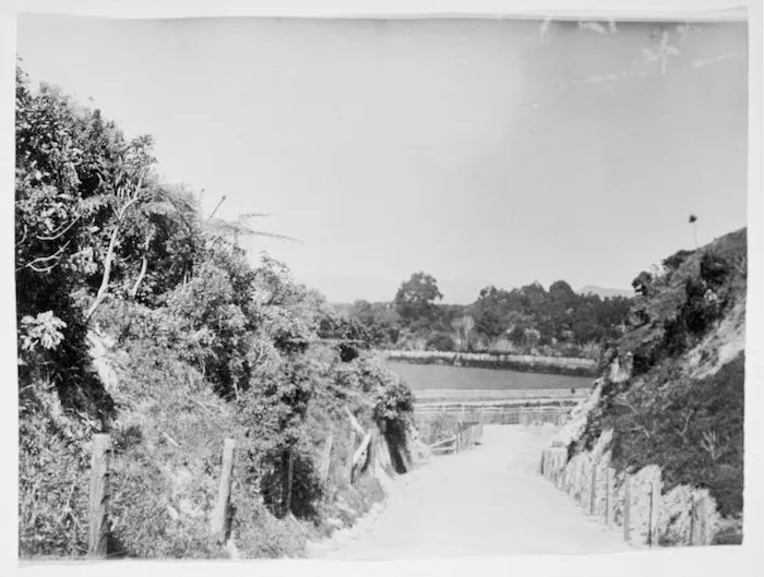 Near Sir James Hector's house, Ratanui, Petone area, Lower Hutt