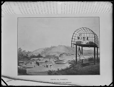 Image: Taupo Pa, Porirua