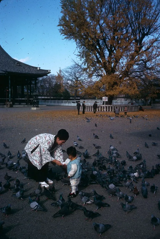 Japan series: Nishi Hangan-ji