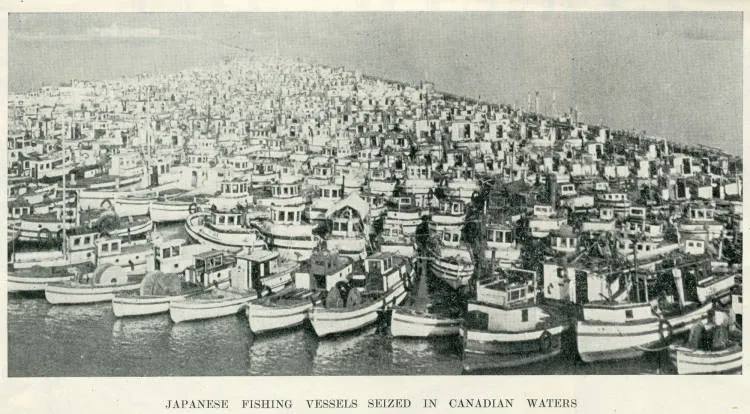 Japanese fishing vessels seized in Canadian waters