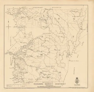 Image: Ruahine Survey District [electronic resource].