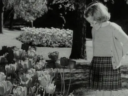 Weekly Review No. 427