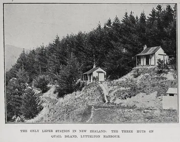 Image: The Only Leper Station In New Zealand