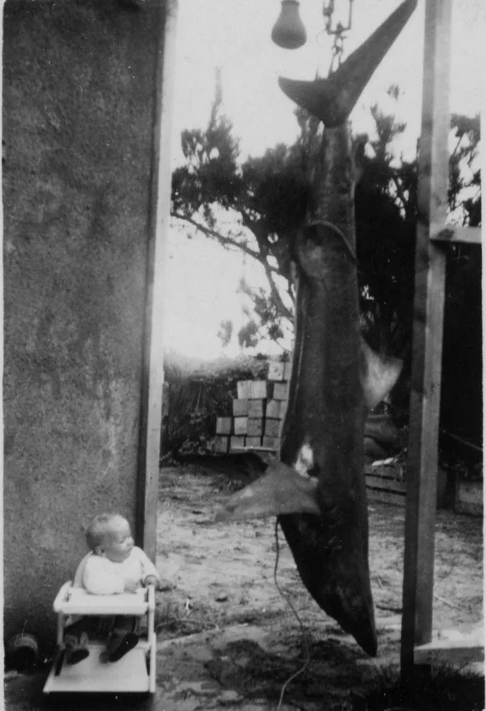 David Evans with Shark