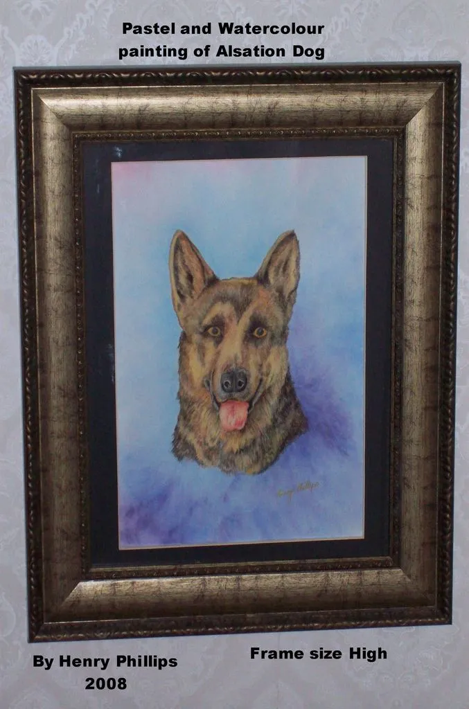 Alsation dog Pastel and water colour painting