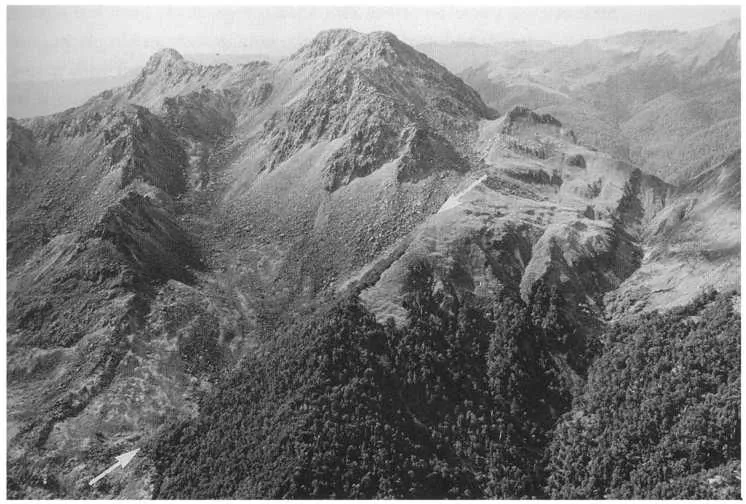 Figure 89 View of the Olivine Range showing a contact between ultramafic rock (left) and schist (right). On the schist there is the normal forest to alpine vegetation sequence, on the ultramafic rock this is absent and there is a sparse cover of shrubs...