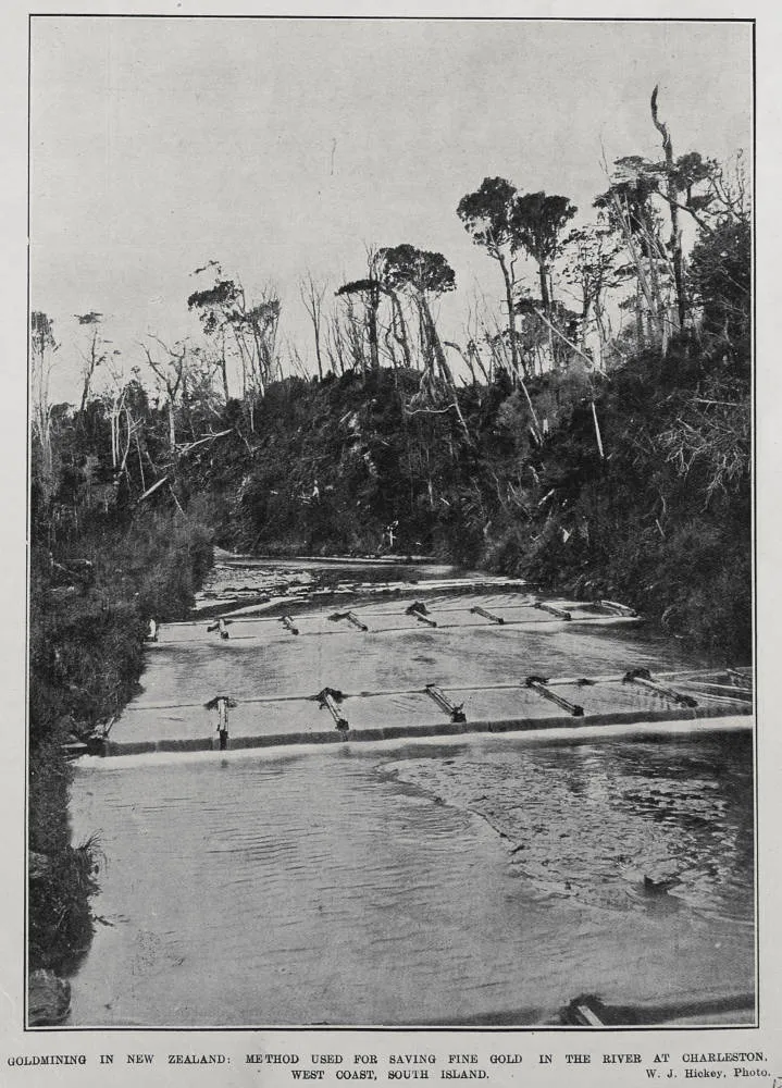 GOLDMINING IN NEW ZEALAND: METHOD USED FOR SAVING FINE GOLD IN THE RIVER AT CHARLESTON, WEST COAST, SOUTH ISLAND