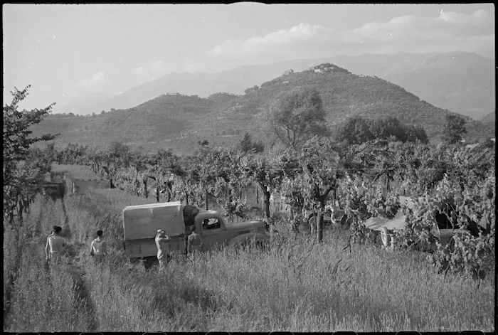 Typical view of the vineyards on the banks of the Fibrino River near Sora, Italy, World War II - Photograph taken by George Kaye