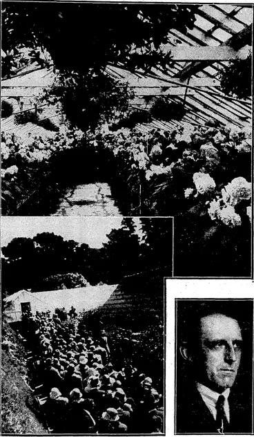 Image: CITY'S BEGONIA HOUSE.—Fear is entertained that the reduced City Reserves allocation may injuriously affect the beautiful display in the Begonia House, visited last year by over 20,000 people. The photographs jshpw some of the blooms and aqueue-pl visitors. ■-"._ ..r^ ... _i.t.^ S. P. Andrew Plioto, Sir Alexander Roberts, &B,E, recently appointed to the Wellington Directorate of the Trustee, Executor and Agency Branch of the N;Z. insuranca go, JM*—.P.B.A, s (Evening Post, 10 December 1932)