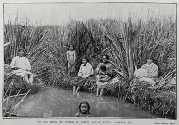 Image: THE WAI TEPUIA HOT SPRINGS AT MAKETU, BAY OF PLENTY, AUCKLAND, N.Z.