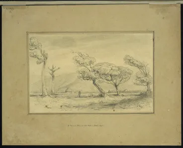 Image: Swainson, William 1789-1855 :E Puni's Pah on the Petoni Flat, 1847.