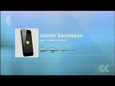 Image: One in 11 million Cow gives birth to triplets, then quadruplets: RNZ Checkpoint