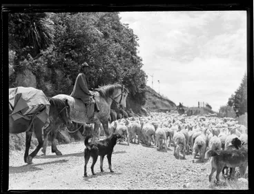 Image: Waikura Station, East Coast, 1947