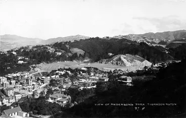 Image: Anderson Park, Wellington