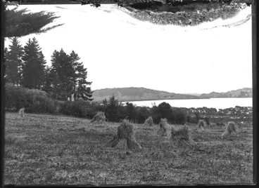 Image: A view across paddocks to the Hokianga Harbour