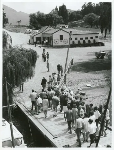 Image: Agriculture - Sheep - Stations