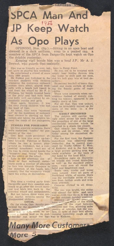 Image: SPCA man and JP keep watch as Opo plays